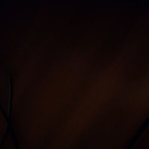 Meet your Posher, Rosy